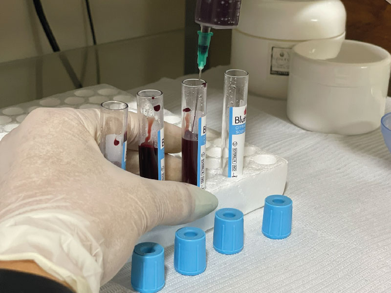 Sin título-1_Mesa de trabajo 1